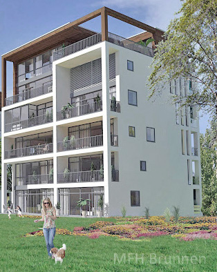 Cornelia Tiedemann Brunnen / CEO