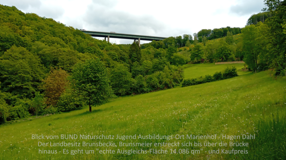 >>> Blick vom BUND Naturschutz Jugend Ausbildungs-Ort Marienhof - Hagen Dahl. Der Landbesitz Brunsbecke, Brunsmeier erstreckt sich bis über die Brücke hinaus - Es geht um "echte Ausgleichs-Fläche 14.086 qm" - und Kaufpreis für Berg-Wald.  - Brücken-Bauste