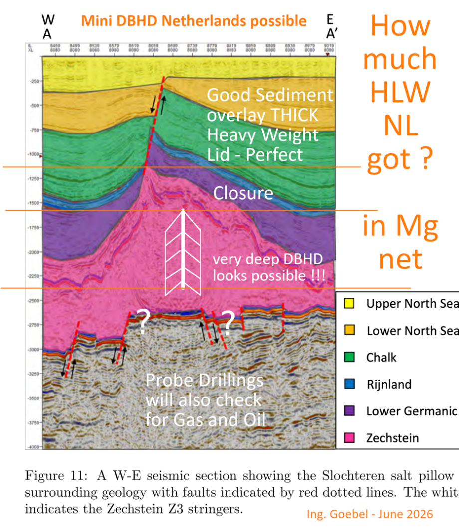 Mini DBHD for the Netherlands