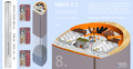 Atommüll Endlager südl_Kröpelin_Glasin_Retschow_Heiligenhagen_Züsow_Madsow_  Neuburg_Steinhausen_Jürgenshagen_Jabelitz_Bernitt_Babst