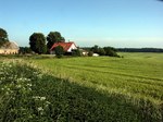 1 Stück DBHD 1.3 bei Züsow, Madsow, Neuburg, Steinhausen - Mecklenburg-Vorpommern BRD