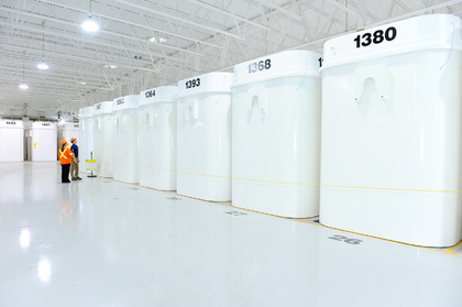Dry storage containers for spent fuel from Candu Reactors Canada
