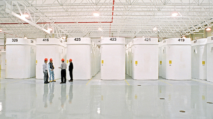 Dry storage containers for spent fuel from Candu Reactors Canada
