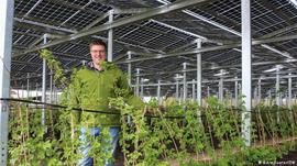 Agri PV - eine Chance für Deutschland