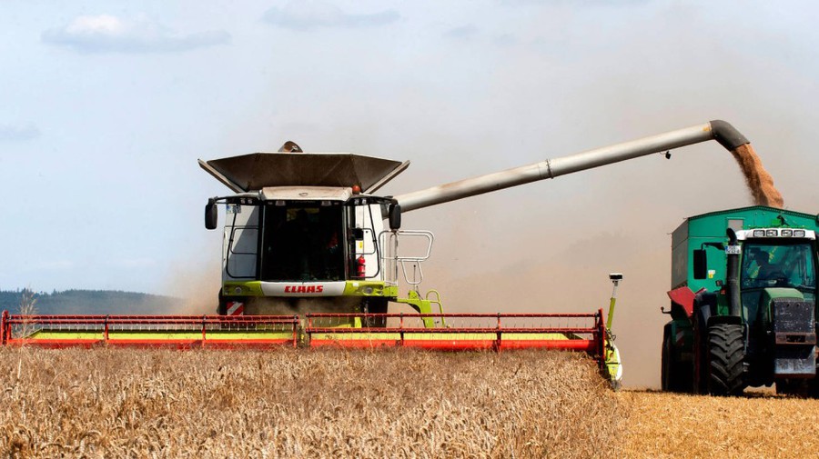 Weizen Ernte in der Ukraine - Juni, Juli, August - geliefert wird aber über das ganze Jahr gleichbleibend
