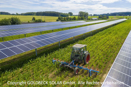 Agri-PV Solar-AnlageCopyright GOLDBECK SOLAR GmbH. Alle Rechte vorbehalten