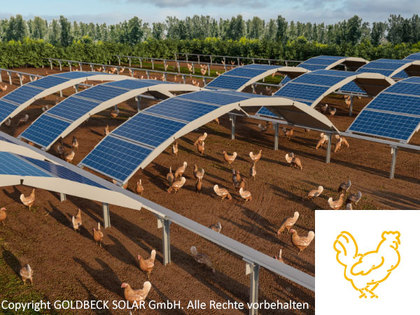 Agri-PV Solar-AnlageCopyright GOLDBECK SOLAR GmbH. Alle Rechte vorbehalten