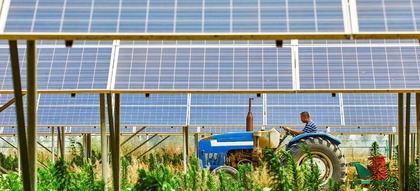 Agri-PV Solar-Anlage
