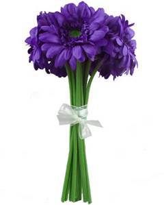 Ein Nationales Programm startbereit vorbereiten