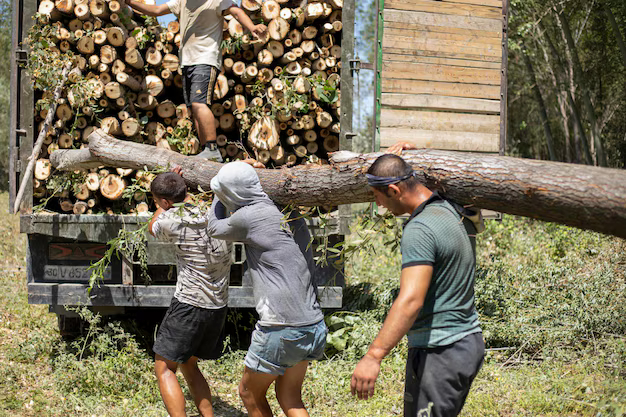 In Hagen tragen Bürgereld Empfänger Holzstämme mit einem Rettungstuch aus dem Wald