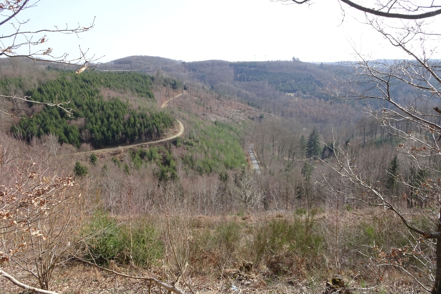 Hagens OB Rehbein will Nahwärmenetz mit Holz Hackschnitzel Heiz-Brennern