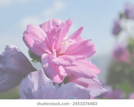 Güldeniz Baday - Supergirl - Turnerin - MakeUp Artist  Meinerzhagen 