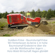Stubbenfräse - Stamm unter Fäll-Schnitt entfernen