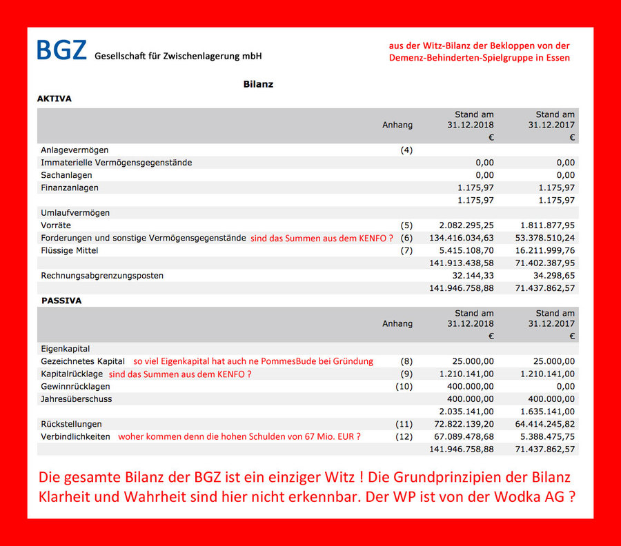 >>> Die BGZ lagerte in 2018 HLW Castor Container in 2 Zwischenlagern - und jetzt sehen Sie sich mal die G+V und die Bilanz an - da stimmt etwas nicht #BGZ #Zwischenlagerung #Castoren #Wirtschaftskriminalität