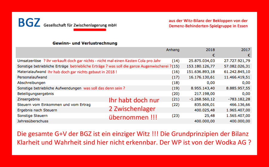 >>> Die BGZ lagerte in 2018 HLW Castor Container in 2 Zwischenlagern - und jetzt sehen Sie sich mal die G+V und die Bilanz an - da stimmt etwas nicht #BGZ #Zwischenlagerung #Castoren #Wirtschaftskriminalität